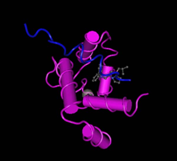 cTnI (Troponin I) IVD Reagent